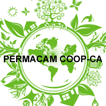 PERMACAM INTERNATIONAL